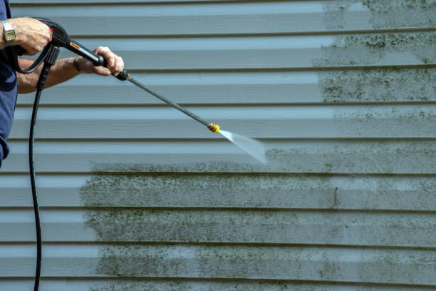Best Local Pressure Washing Services  in Princeton, MN